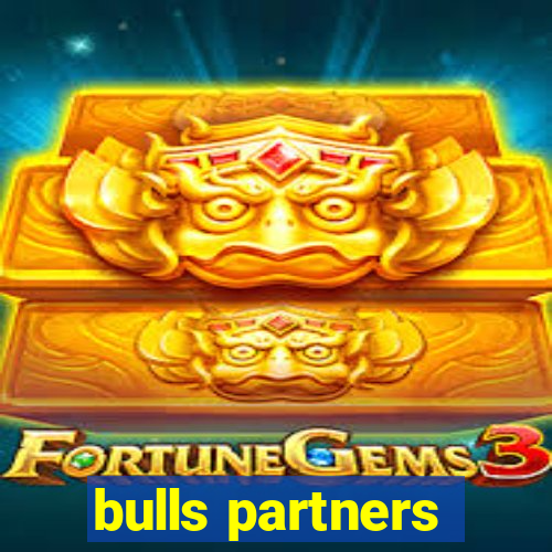 bulls partners